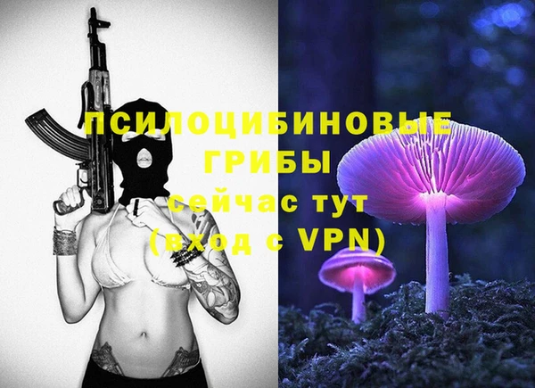винт Алексеевка