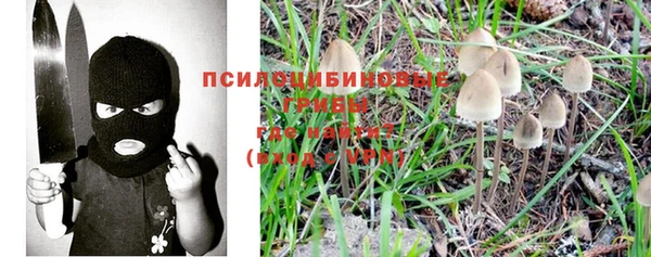 марки nbome Алзамай