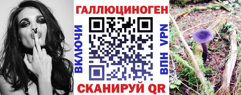Галлюциногенные грибы Psilocybine cubensis  Клинцы 